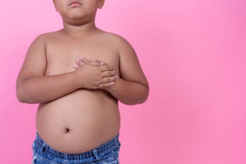 obesidad